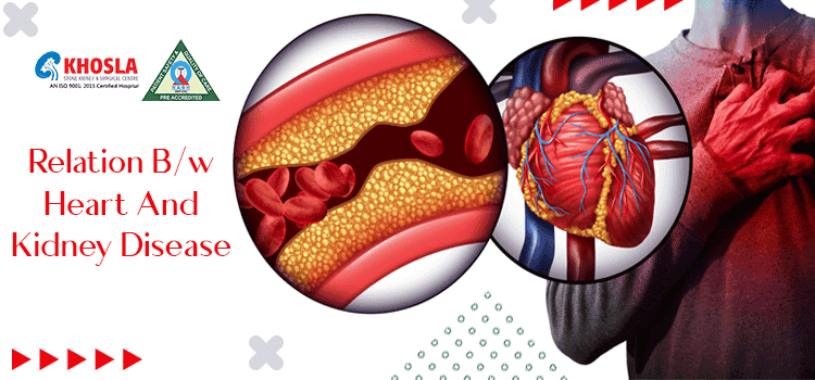 Health care guide, 'How is heart and kidney disease related to each other?'