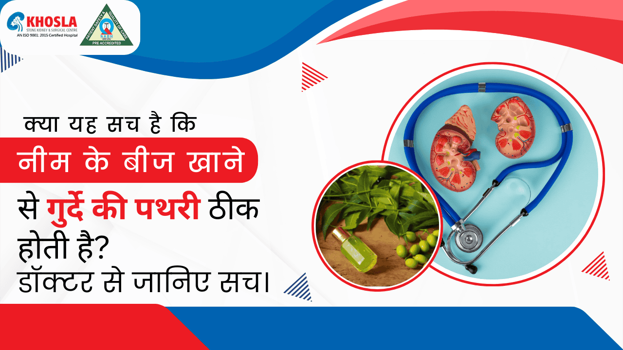 क्या यह सच है कि नीम के बीज खाने से गुर्दे की पथरी ठीक होती है? डॉक्टर से जानिए सच।
