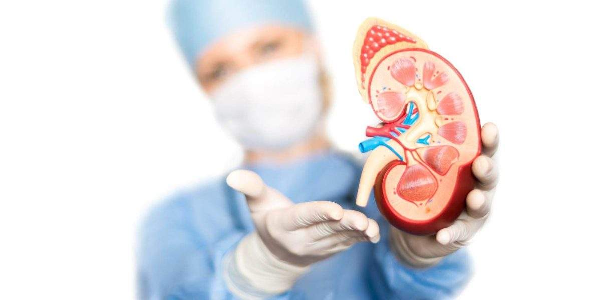 How To Live Your Life After Kidney Failure?