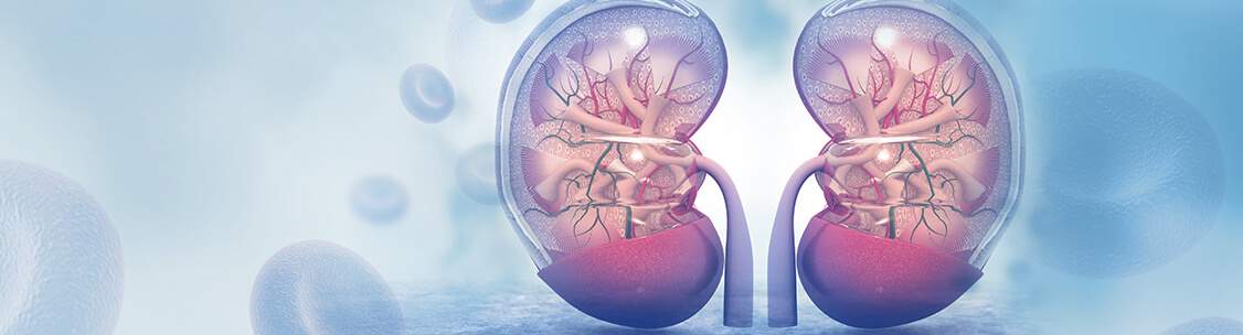 What You Need to Know About Urology and Nephrology