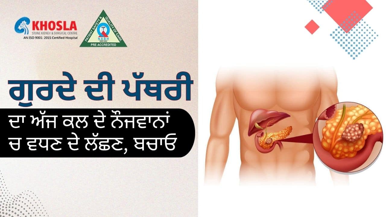  ਗੁਰਦੇ ਦੀ ਪੱਥਰੀ ਦਾ ਅੱਜ ਕਲ ਦੇ ਨੌਜਵਾਨਾਂ ਚ ਵਧਣ ਦੇ ਲੱਛਣ, ਬਚਾਓ ।