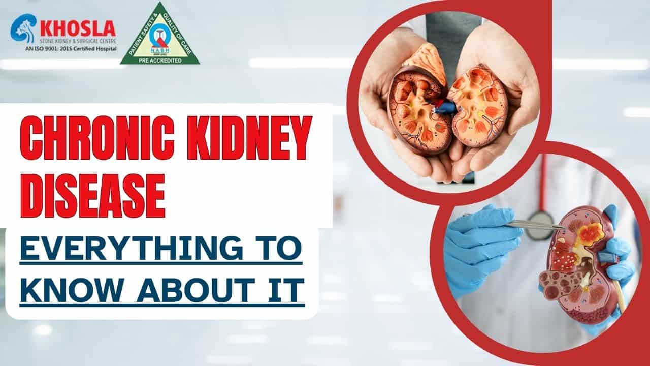 शरीर के किन हिस्सों में हो सकता है किडनी की पथरी का दर्द? डॉक्टर से जानें इसके बारे में!