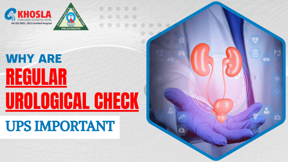 a digital illustration of kidneys and bladder held by a doctor wearing gloves