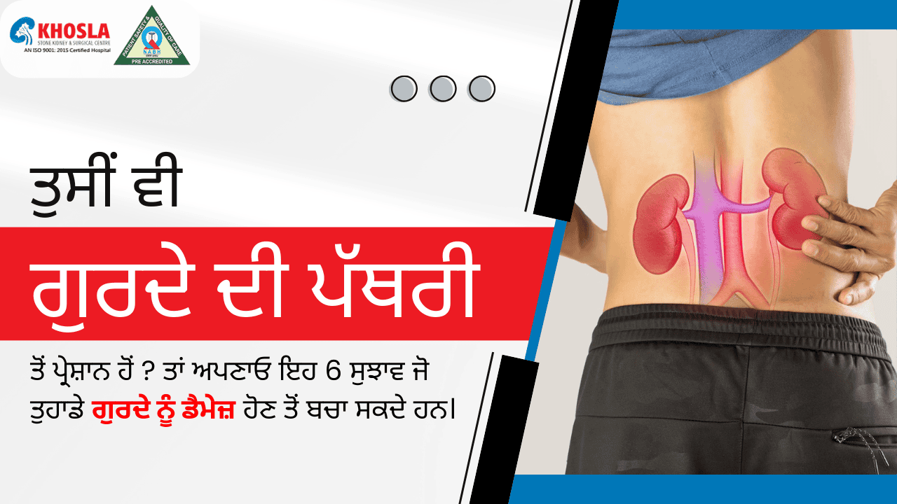  ਤੁਸੀਂ ਵੀ ਗੁਰਦੇ ਦੀ ਪੱਥਰੀ ਤੋਂ ਪ੍ਰੇਸ਼ਾਨ ਹੋਂ ? ਤਾਂ ਅਪਣਾਓ ਇਹ 6 ਸੁਝਾਵ ਜੋ ਤੁਹਾਡੇ ਗੁਰਦੇ ਨੂੰ ਡੈਮੇਜ਼ ਹੋਣ ਤੋਂ ਬਚਾ ਸਕਦੇ ਹਨ।