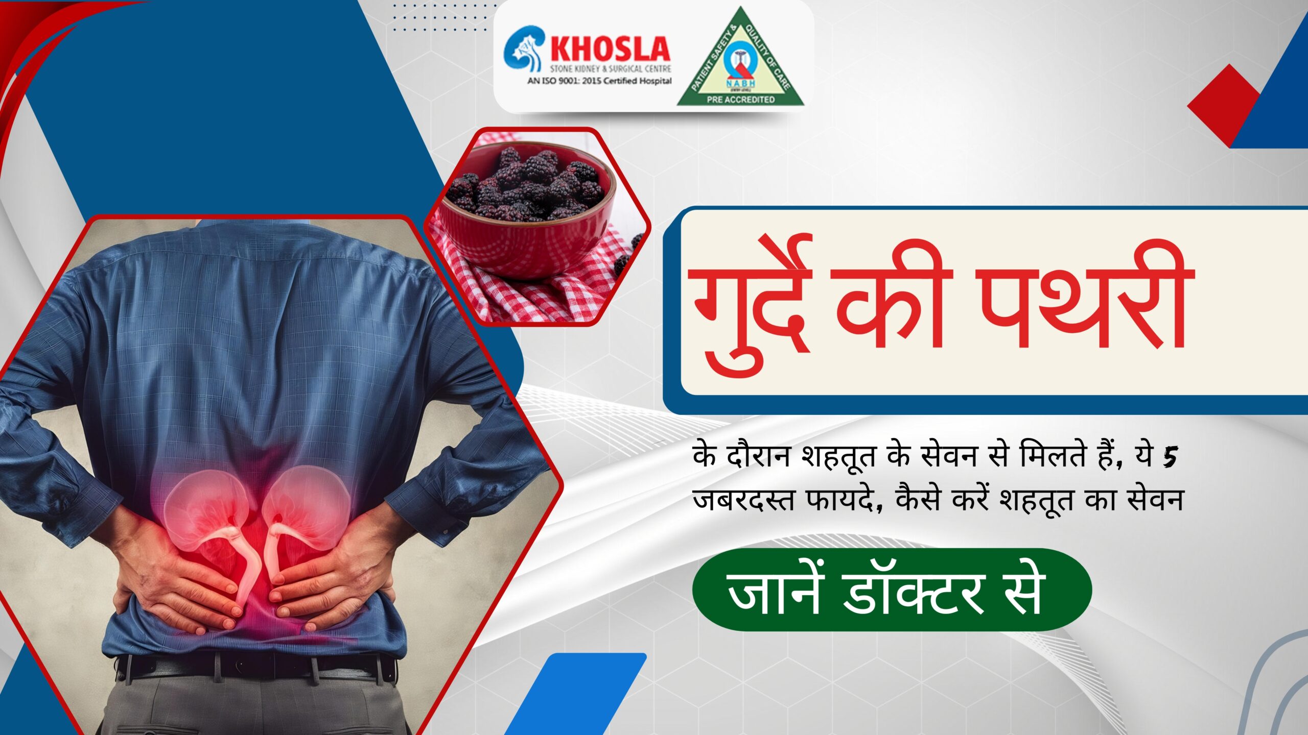 क्या यह 2 घरेलू चीजें पित्त की पथरी का रामबाण इलाज हो सकती हैं? जानें डॉक्टर से